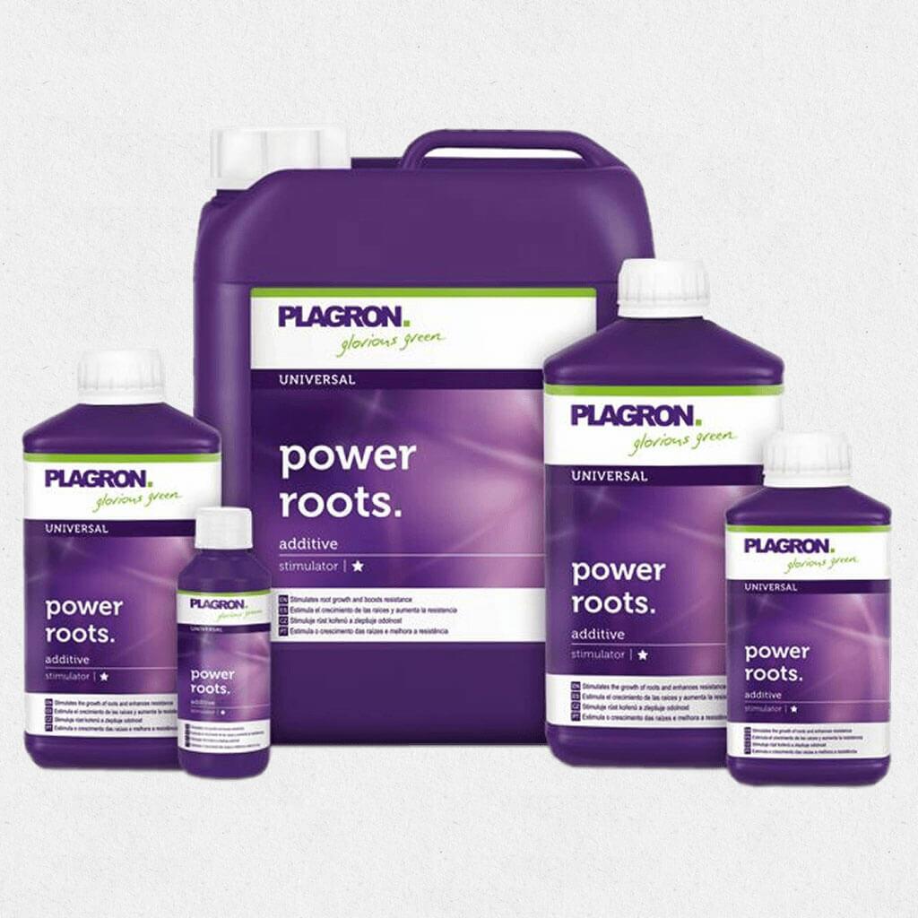 Plagron Power Roots