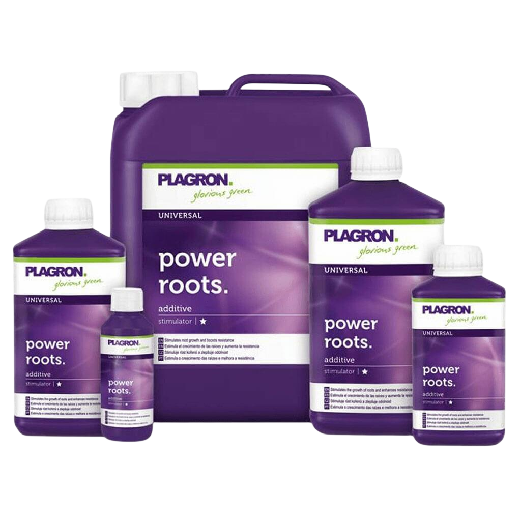 Plagron Power Roots