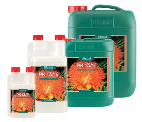 Canna PK 13/14