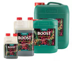 Canna Boost Accelerator