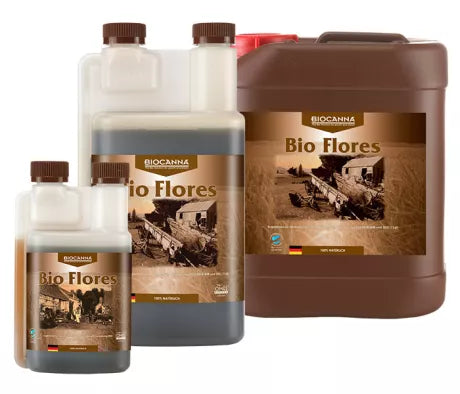 Canna Bio Flores
