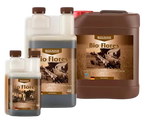 Canna Bio Flores