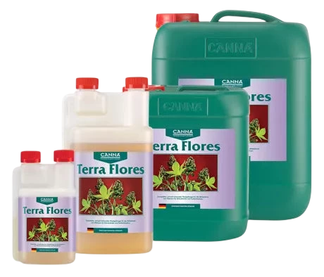 Canna Terra Flores