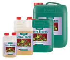 Canna Terra Flores