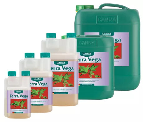 Canna Terra Vega