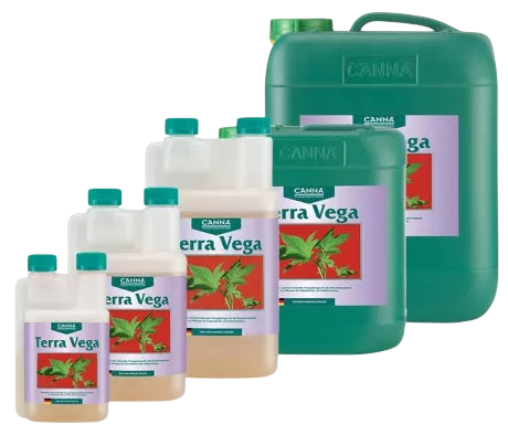 Canna Terra Vega