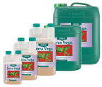 Canna Terra Vega