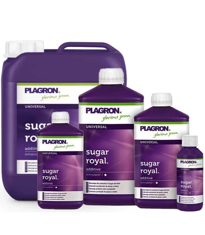 Plagron Sugar Royal