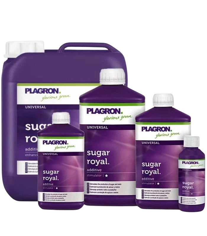 Plagron Sugar Royal